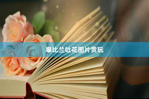 皋比兰吐花图片赏玩