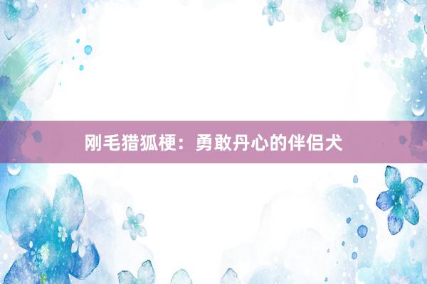 刚毛猎狐梗：勇敢丹心的伴侣犬